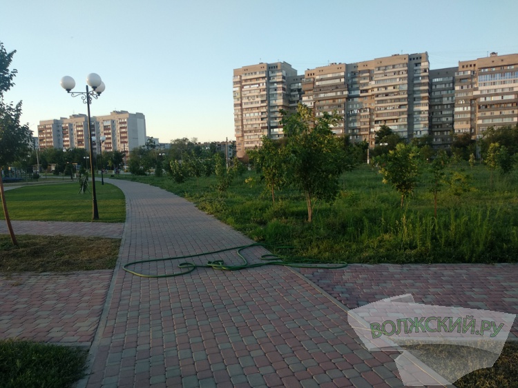 ���� ������ �����: ��������, ����� �� ���� � �������