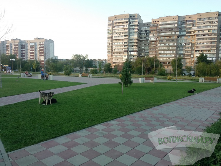 ���� ������ �����: ��������, ����� �� ���� � �������