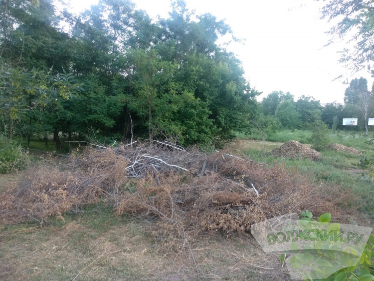 ���� ������ �����: ��������, ����� �� ���� � �������