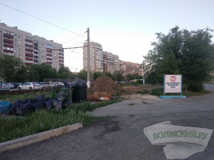 Парк «Новый город»: сухостой, трава по пояс и разруха