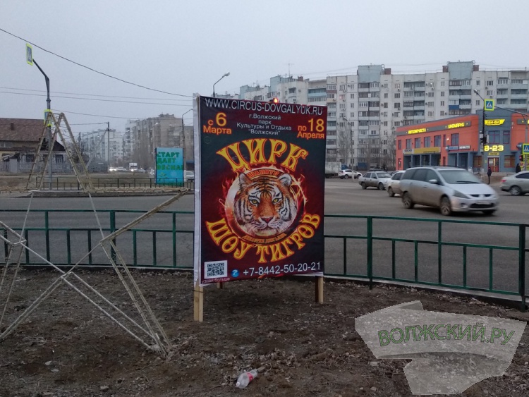Цирк-шапито Династии Довгалюк заставил город незаконной рекламой