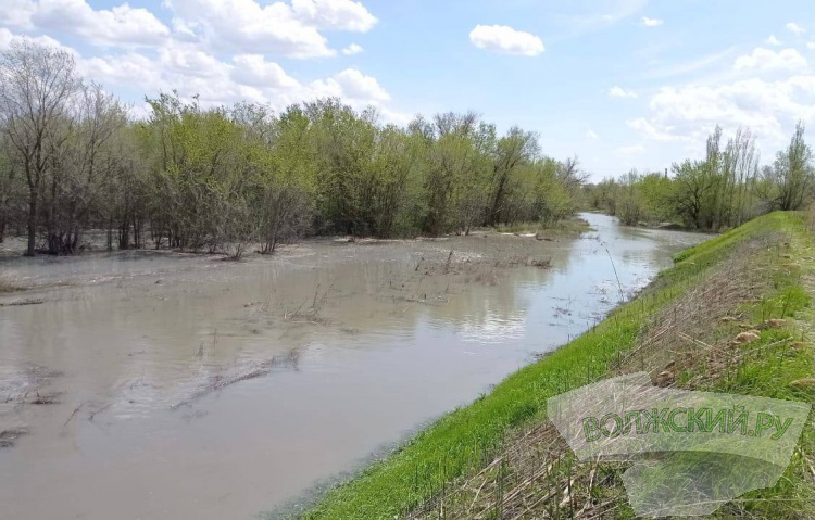 В Волгоградской области сточные воды «Садов Придонья» утекли в реку