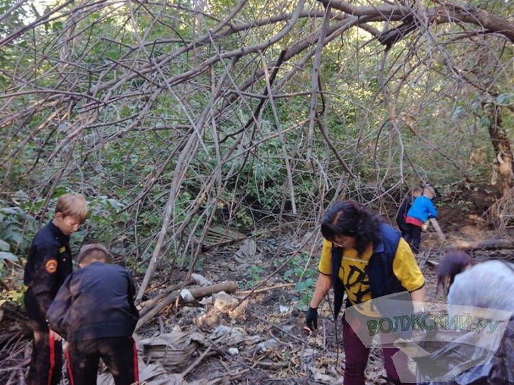 В Волжском с берега «Ахтубы» собрали 1,5 тонны отходов