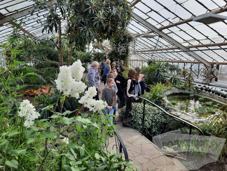 Весенний калейдоскоп цветов зажегся в оранжерее ботанического сада Волжского