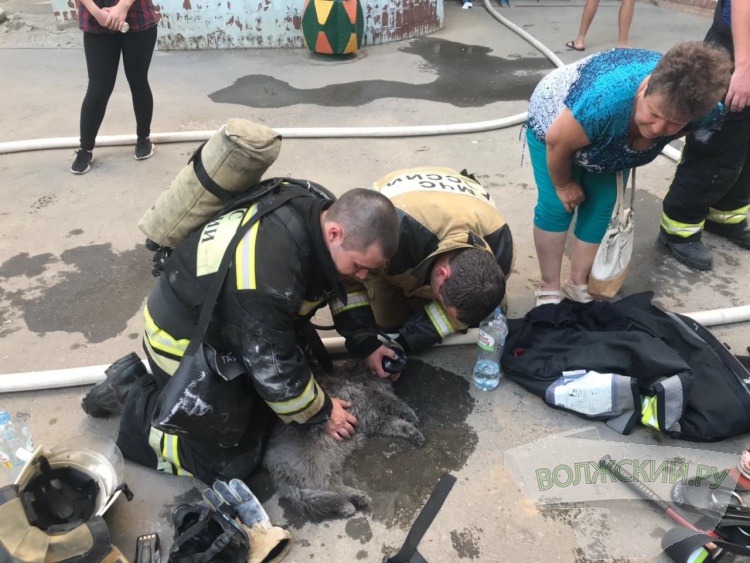 ������������� �������� ������������ ������� ������� � �������� �����