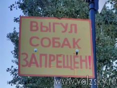 ������ ������ ������