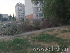 ���� ������� �������