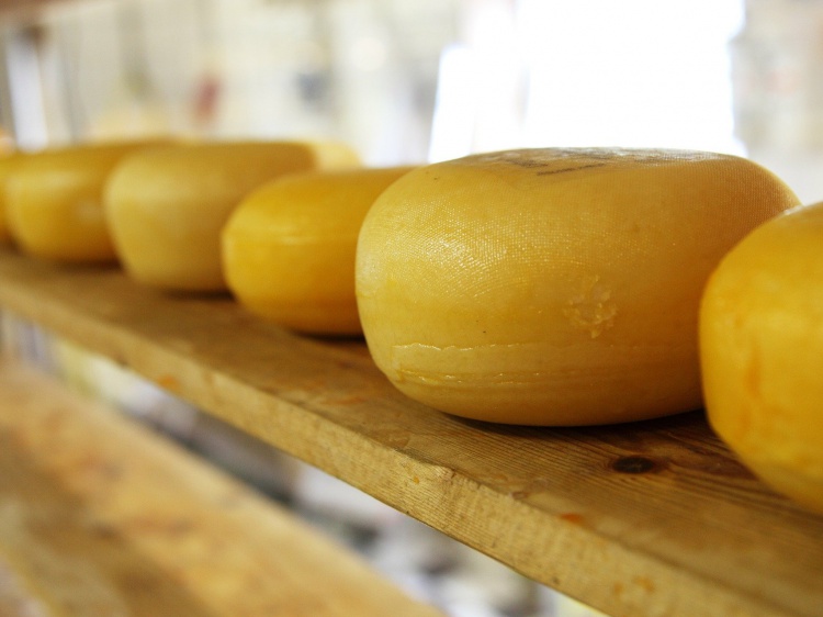В Волгоградской области предприниматель зарегистрировал несуществующий сыр 34.231.21.105 