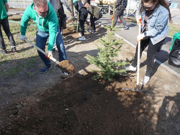 На въезде в Волжский высадили 40 деревьев 18.207.157.152 