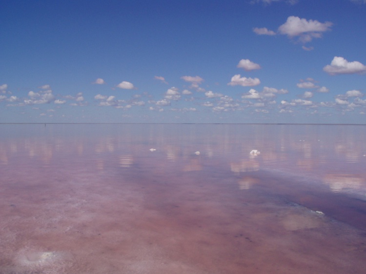 Озеро Эльтон может стать главной достопримечательностью России 3.85.80.239 