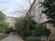 ����� ������� �� ��������� �������