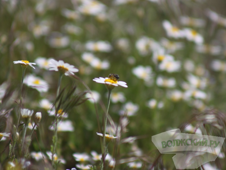 � �������� � ��������� �������� ������ ��������� �� +18 �������� 