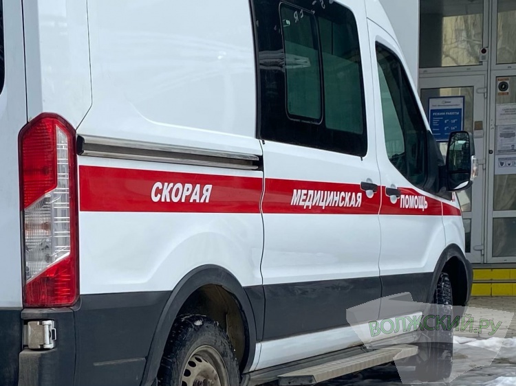 Не заметила во дворе: в Волгоградской области гадюка укусила 11-летнюю девочку