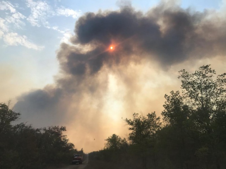 В Даниловском районе два дня тушат крупный лесной пожар 18.207.133.27 