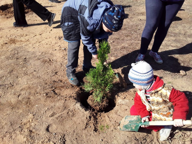В посёлке Краснооктябрьский высадили растения на новой детской площадке 18.232.59.38 