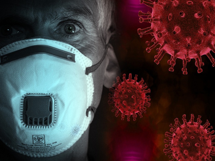 В регионе коронавирусом заболел еще 241 человек, 5 скончались 18.232.56.9 