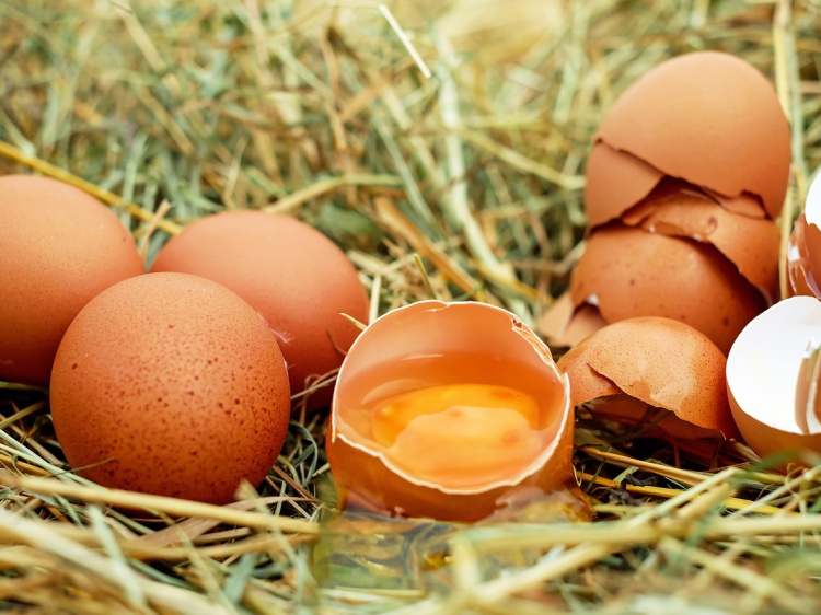 В регионе стали производить меньше яиц