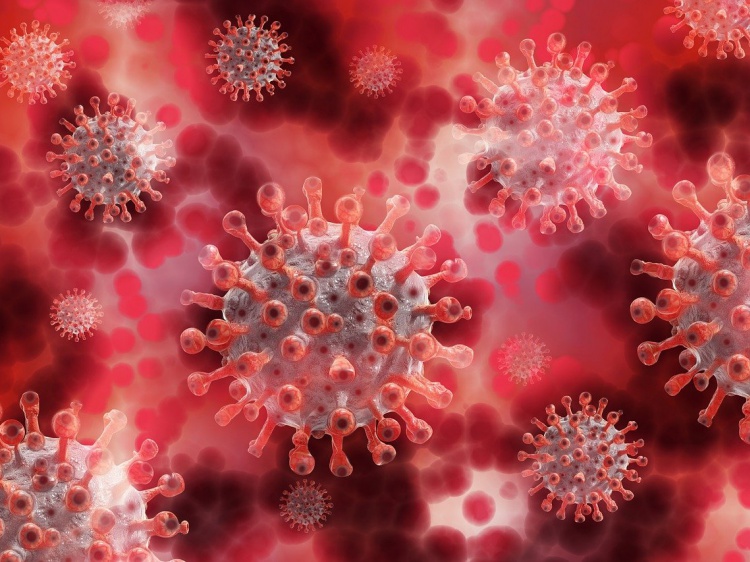 В регионе снова подскочила заболеваемость коронавирусом 3.235.65.220 