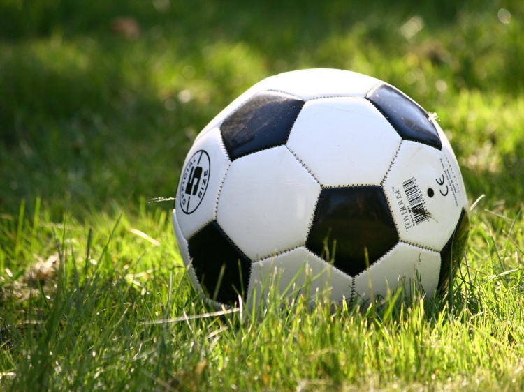 В школах Волгоградской области ввели уроки футбола 18.205.66.93 