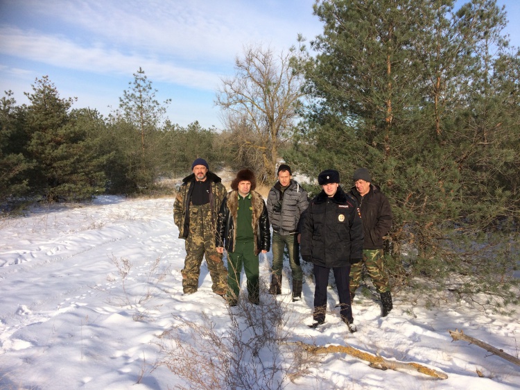 В Волгоградской области начали защищать ели от браконьеров