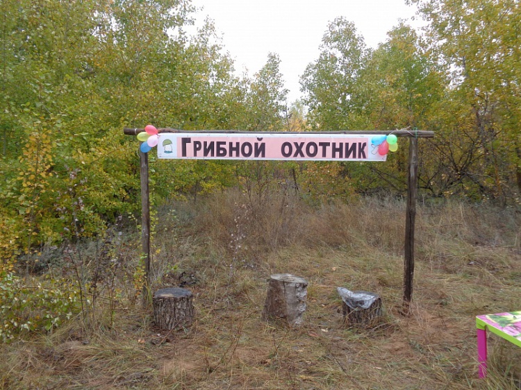В Волгоградской области выберут лучшего грибника