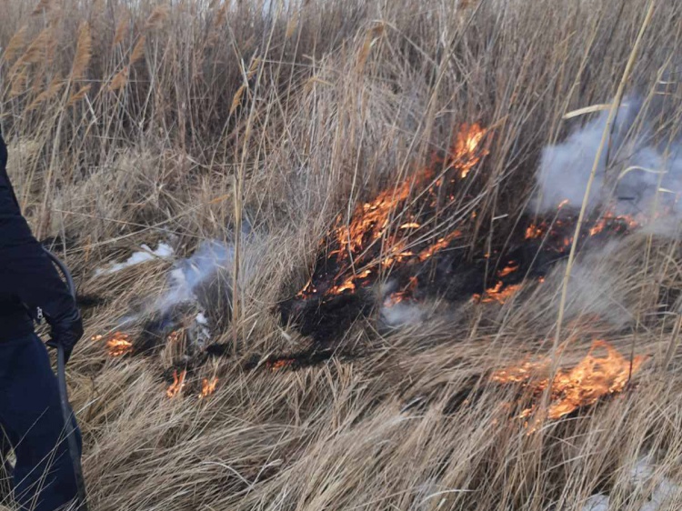 В Волжском до начала пожароопасного сезона начали выжигать камыш 3.236.209.138 