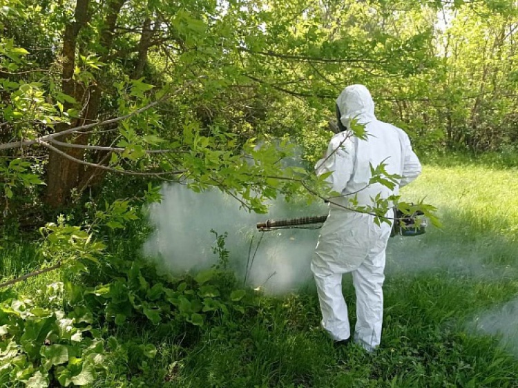 В Волгоградской области водоёмы защитят от комаров