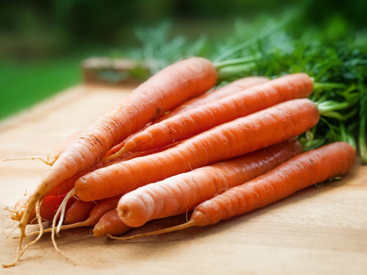 Волгоградстат: цена на морковь за неделю выросла на 18,5% 52.203.18.65 
