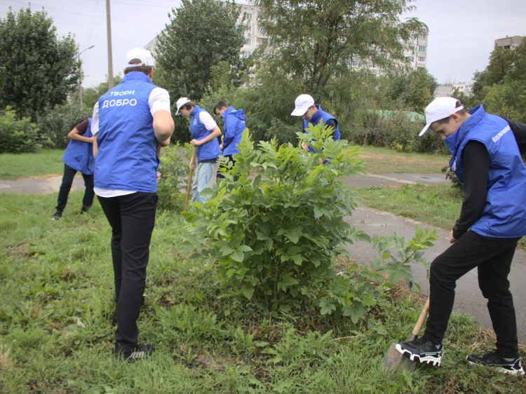 Волжские волонтёры проводят экологические акции 35.172.224.102 