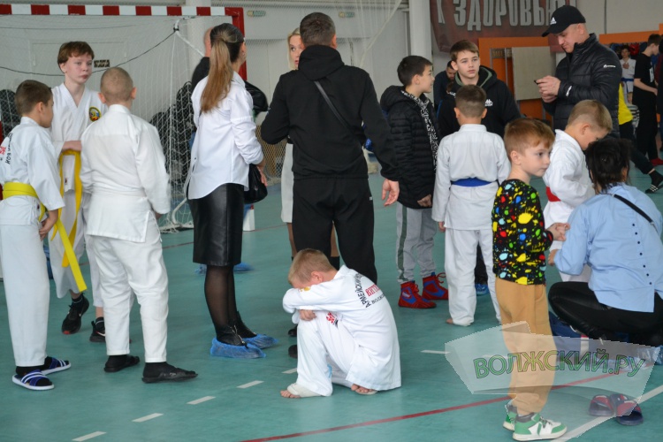220 рукпопашников встретились в Волжском на турнире памяти С.В. Цуцунавы