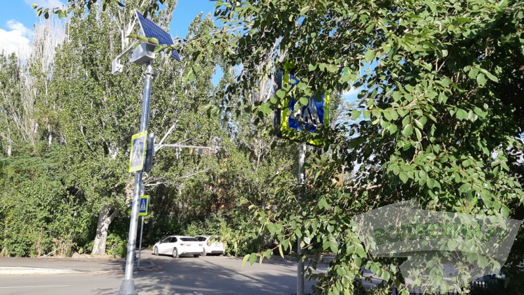 Дороги в/без опасности: улицы Волжского «утыкали» навязчивыми знаками