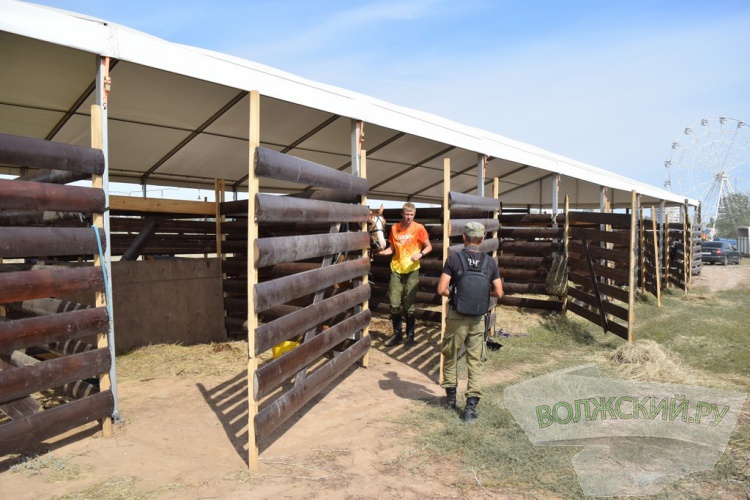 , SUP,  :    Ultra 100