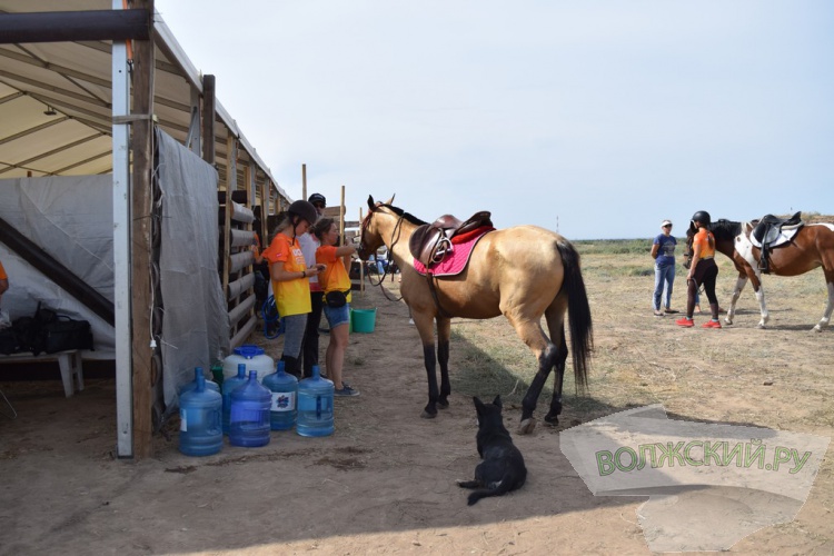 Эстафета, SUP, конный туризм: второй день фестиваля Ultra 100