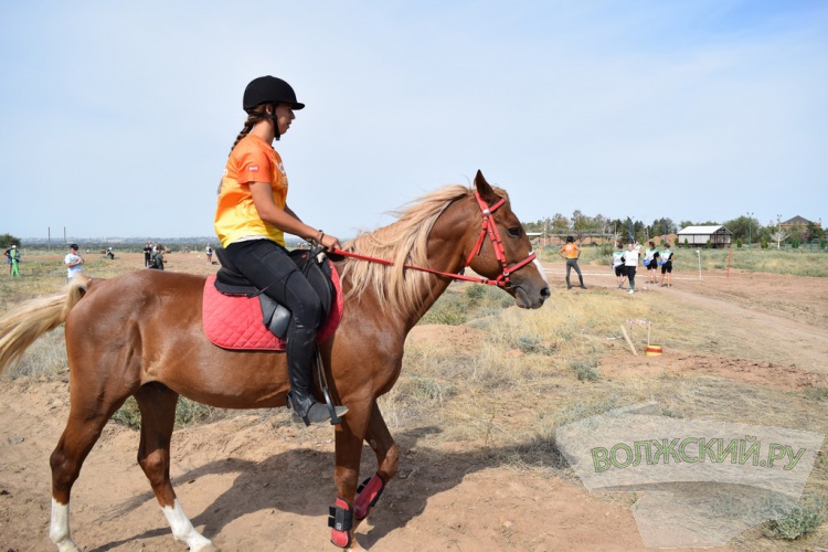 , SUP,  :    Ultra 100