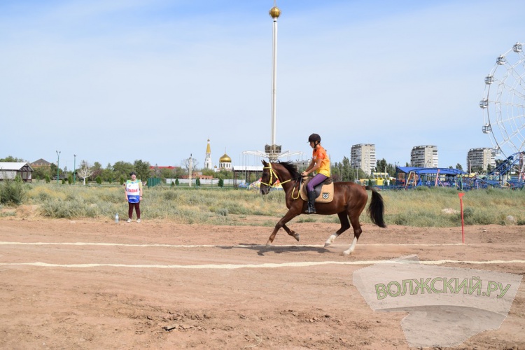 , SUP,  :    Ultra 100