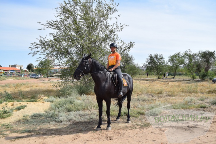 , SUP,  :    Ultra 100