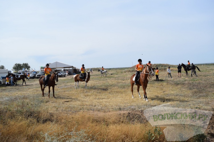 Эстафета, SUP, конный туризм: второй день фестиваля Ultra 100