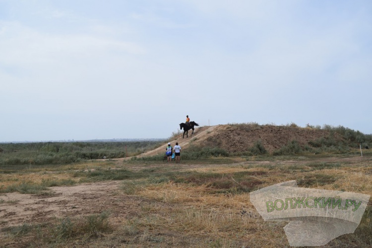 , SUP,  :    Ultra 100