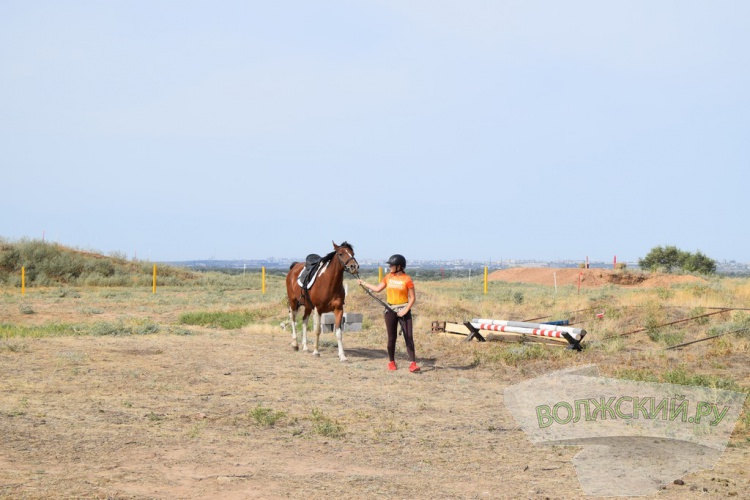 , SUP,  :    Ultra 100