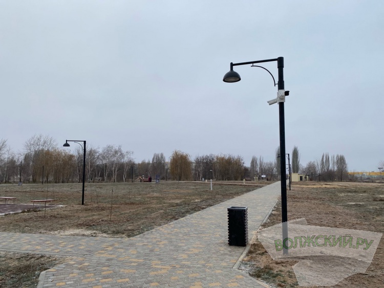 ФКГС: мангальная зона без мангалов и многочисленные дорожки в парке «Новый город» 