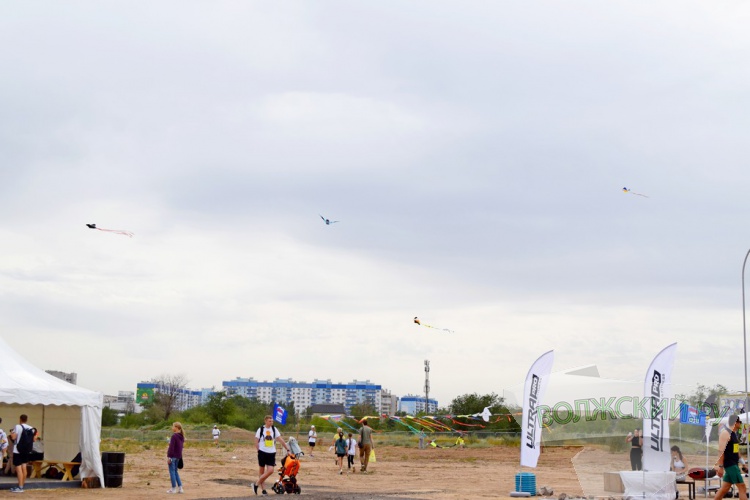 SUP-,    :     Ultra 100