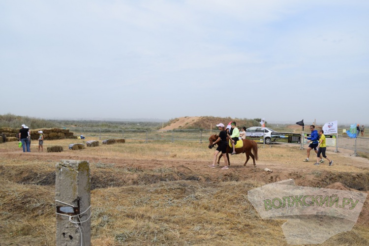 SUP-,    :     Ultra 100