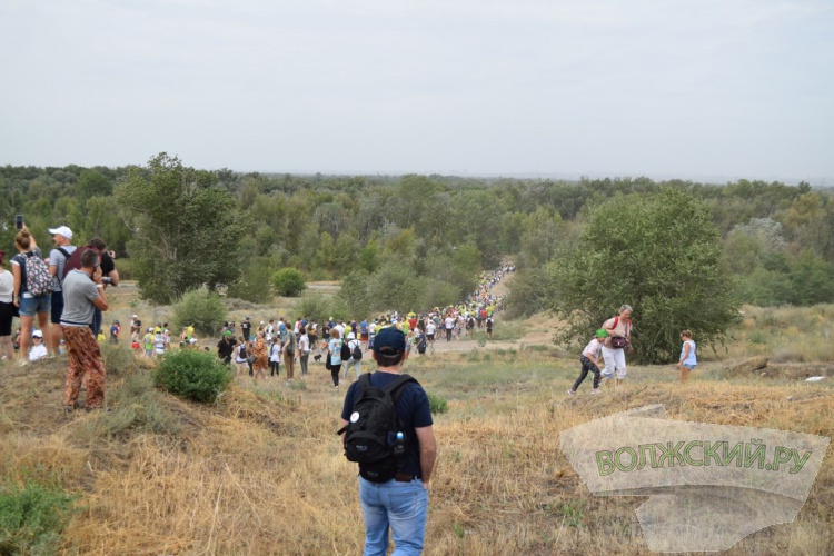 SUP-,    :     Ultra 100