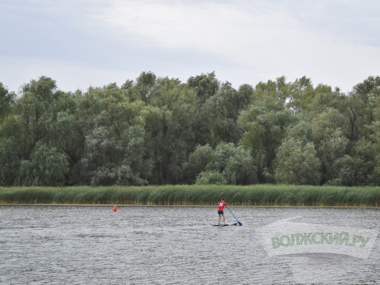 SUP-,    :     Ultra 100