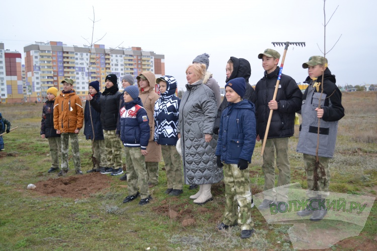 В День народного единства в Волжском заложили аллею в честь героев СВО