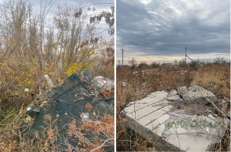 В Волгоградской области на территории санатория нашли огромную свалку