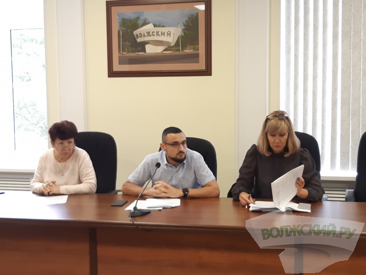 Волжские депутаты одобрили передачу ВИЭПП в область