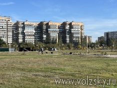 ������������������ ����������� ����� ������ ����� ���������!