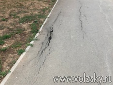 ���� ������ �� ����