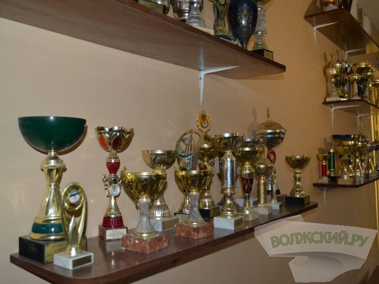 Гимнасты из Волжского завоевали три медали в Брянске